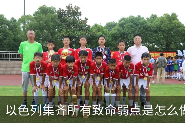 以色列集齐所有致命弱点是怎么做到的？
