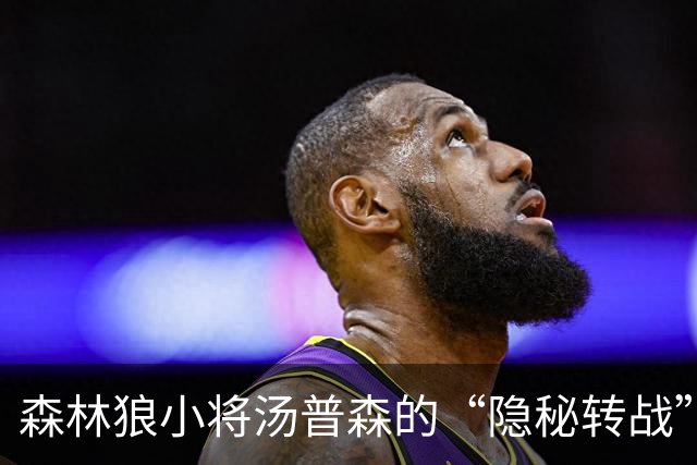 森林狼小将汤普森的“隐秘转战”，命运如影随形
